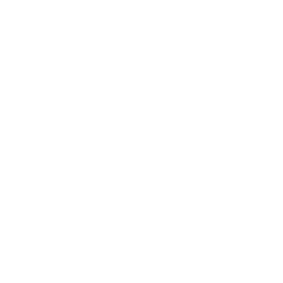 Minha primeira corrida